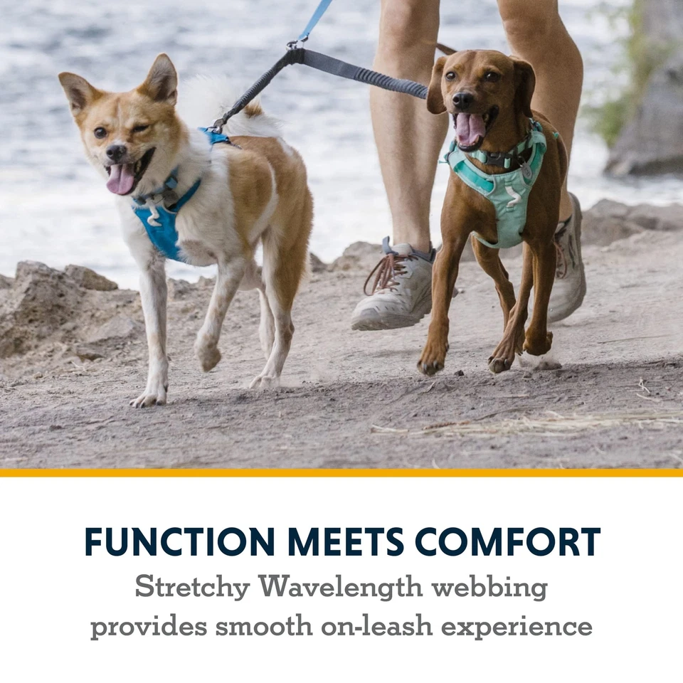 Extensión de correa acoplador de doble vía para pasear 2 perros gris basalto Foto 4 de 4