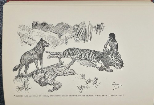 Kipling, RUDYARD KIPLINGS WORKS - Authorized Edition 1913-14 - Picture 13 of 14