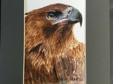 Dipinto artistico: Nur Ilham - Portret van een roofvogel
