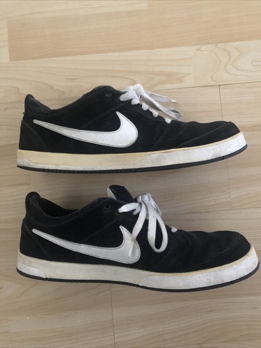 nike sb 11.5