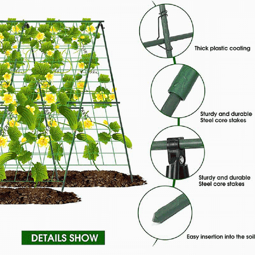 Green Beans and Cucumbers Trellis 48 x 48 Inch Foldable A Frame Design - Picture 15 of 16