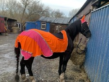 Cob-full Sized Hi Viz Ride On Sheet And Ears Set Pink And Orange