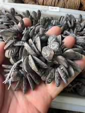 100PCS Collect Chinese Ancient Coins China Old Dynasty Bronze Currency Cash