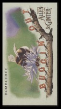 2020 TOPPS ALLEN & GINTER BUMBLEBEE MBO-15 MINT MINI BUGGIN OUT BASEBALL