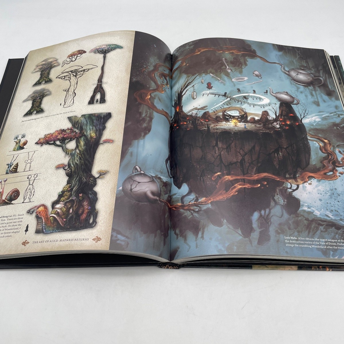 THE ART OF Alice Madness Returns Art Book English Edition