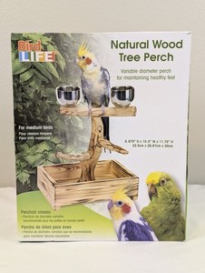 Natural Wood Tree Perch for Small Medium Birds with Food Water Bowls Indoor READ