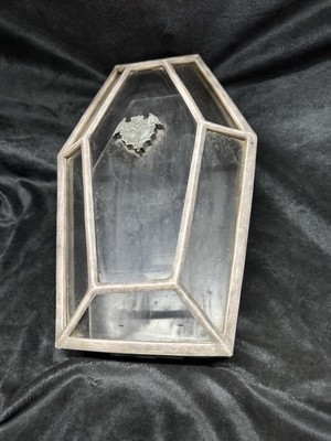 Coffin Display Case Jewelry Box Vampire Bat Gothic Trinkets Alter