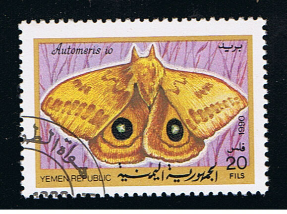 Foto 1 di 1