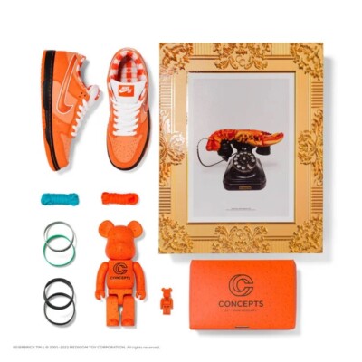 Nike SB Dunk Low Orange Lobster Special Box Size 9.5 FD8776-800