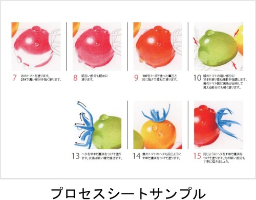 High Purity Polychromos Colored Pencils Set - 14 Vibrant Colors with Accessories - Picture 7 of 10