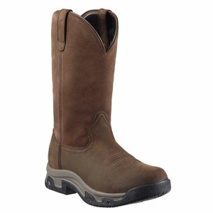 ariat terrain h20 mens