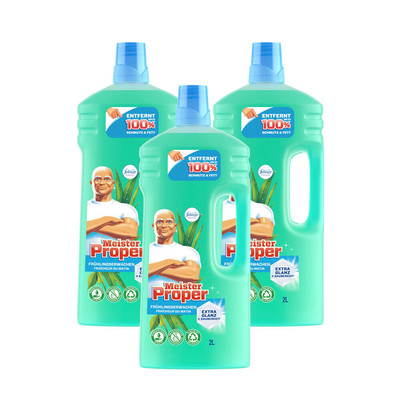 3 X Meister Proper Frühlingserwac