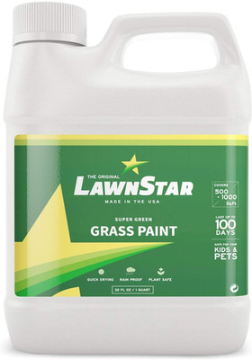 Grass Paint Concentrate (500-1,000 Sq Ft) - for Dormant, Patchy or Faded Lawn -