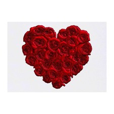 'Red Rose Heart' Temporary Tattoos / Transfers TO00046060 