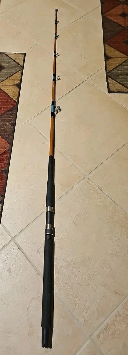 30 ft long graphite fishing poles Fiblink 1-Piece Conventional Boat Rod Saltwater Offshore Spinning Rod(6 Feet, 30-50 lb/50-80 lb/80-120 lb) (30-50 Pound) : Sports & Outdoors meet affordability and quality Sea Striker Graphite Fishing Rods