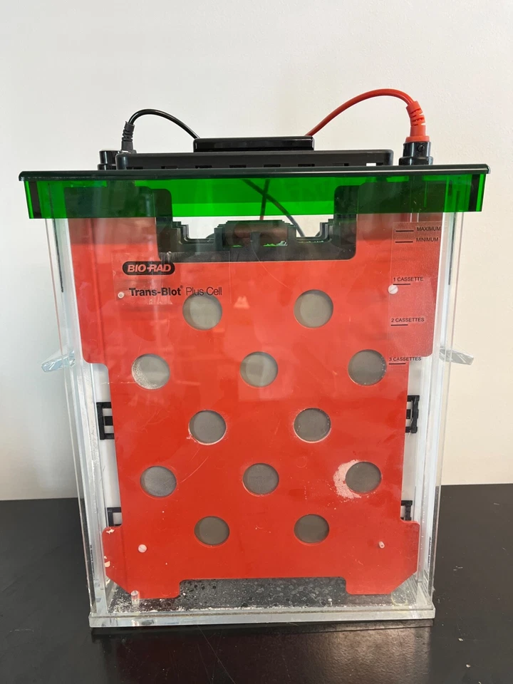 Bio-Rad Trans-Blot Plus Cell blotting grande formato + bobina di raffreddamento e 3 cassette - Immagine 2 di 4