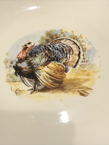 homer laughlin rhythm 10" Plate Off White Porcelain Gold Edge E54N5 Turkey - Picture 2 of 9