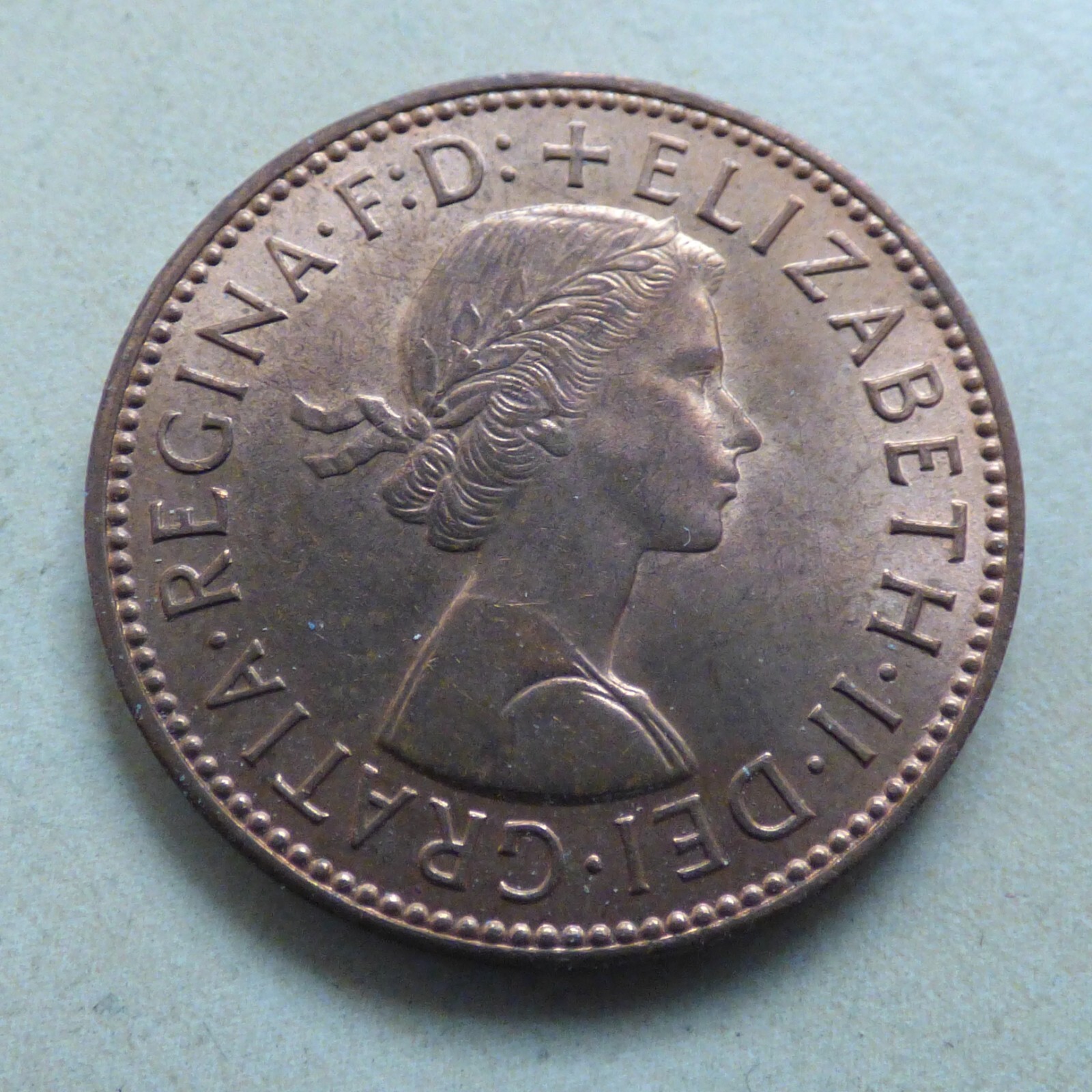 Picture 147 of 189