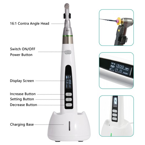 Motore Endo LED Wireless 16:1 Manipolo Reciproco Trattamento Canale Radicale Dentale - Foto 1 di 24
