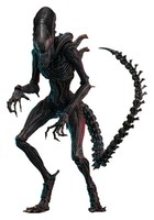 Alien Romulus Movie Masterpiece 1/6 Eingesengter Xenomorph Actionfigur