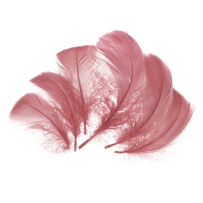 300 Pcs Crimson Craft Feathers, 2-4 Inch Colored Fluffy Feathers