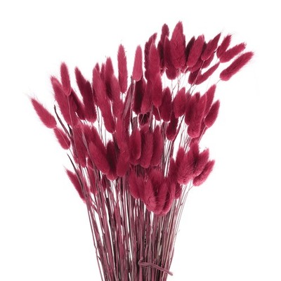 120pcs Natural Bunny Tails Dried Flowers 24'' Mini Pampas Grass, Plum Purple