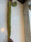Jellycat Stevie Snake Plush Stuffed Animal NWT — photo 3