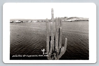 Vintage Real Photo Postcard Guaymas Sonora Mexico Saguaro Cactus Seascape 1949