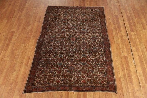 Alfombra antigua tradicional hecha a mano anterior a 1900 tinte vegetal Bidjjar alfombra marfil 4x6 - Imagen 19 de 24