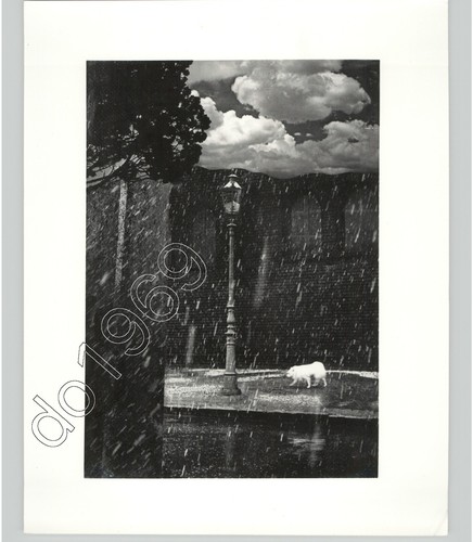 "Hundewetter" before 1956 Gelatin Silver Photo by Horst H. Baumann c.1970s Print - 第 1/2 張圖片
