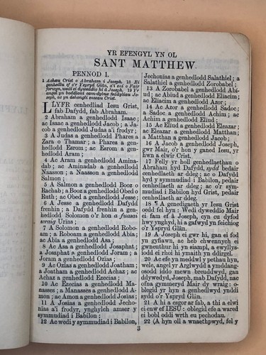 ANTIQUE WELSH BIBLE New Testament of Our Lord Jesus Christ TESTAMENT NEWYDD IESU - Picture 5 of 17