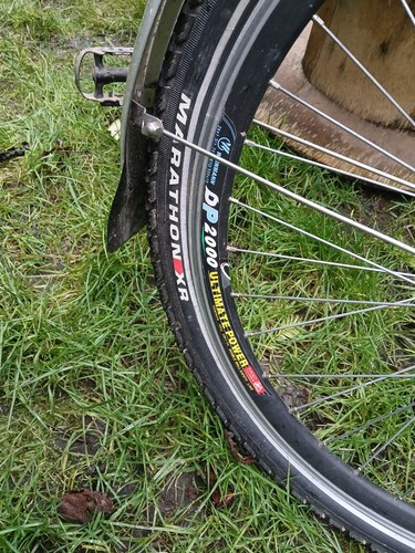 Tandem Thorn Voyager. Little used in good condition - Picture 2 of 4