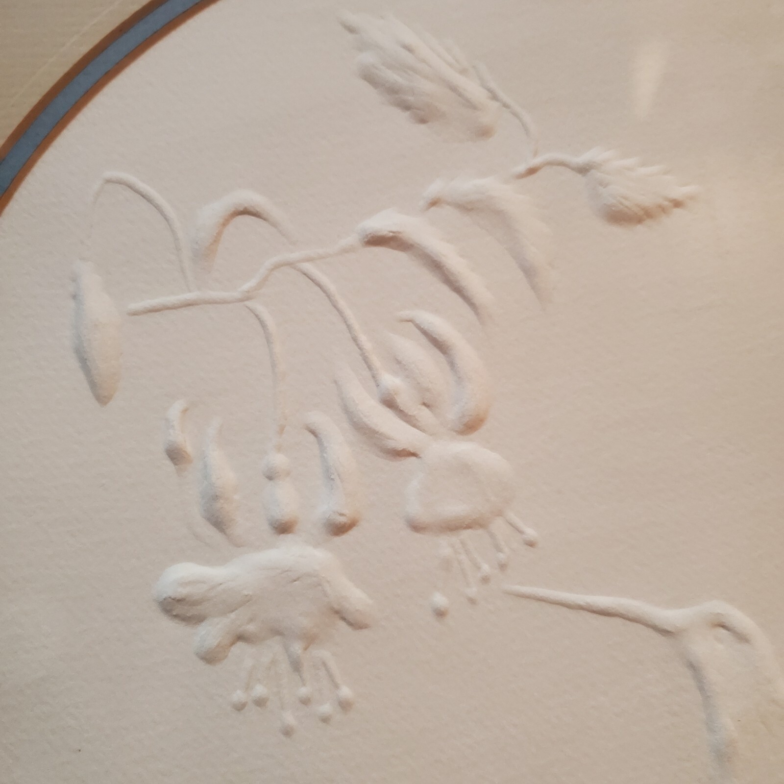 Picture 6 of 11
