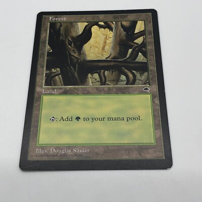 douglas shuler mtg cards Magic The gathering Forest Ledge Tempest Land Illustrator Douglas Shuler