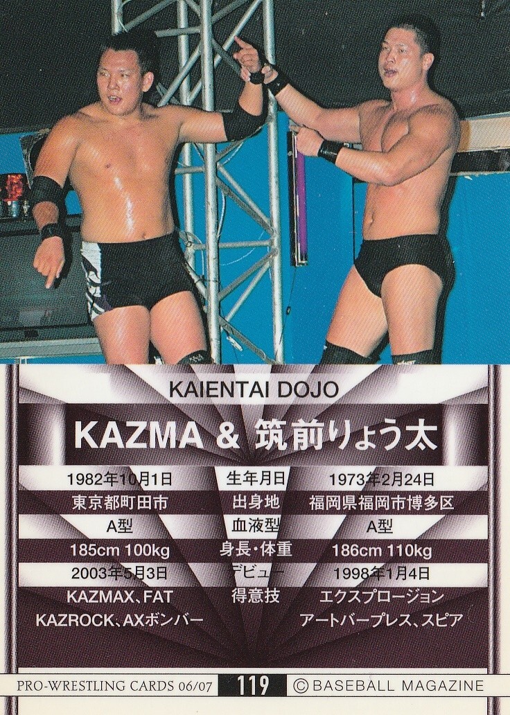 Ryota Chikuzen & Kazma 2006-07 BBM Pro Wrestling #119 | eBay