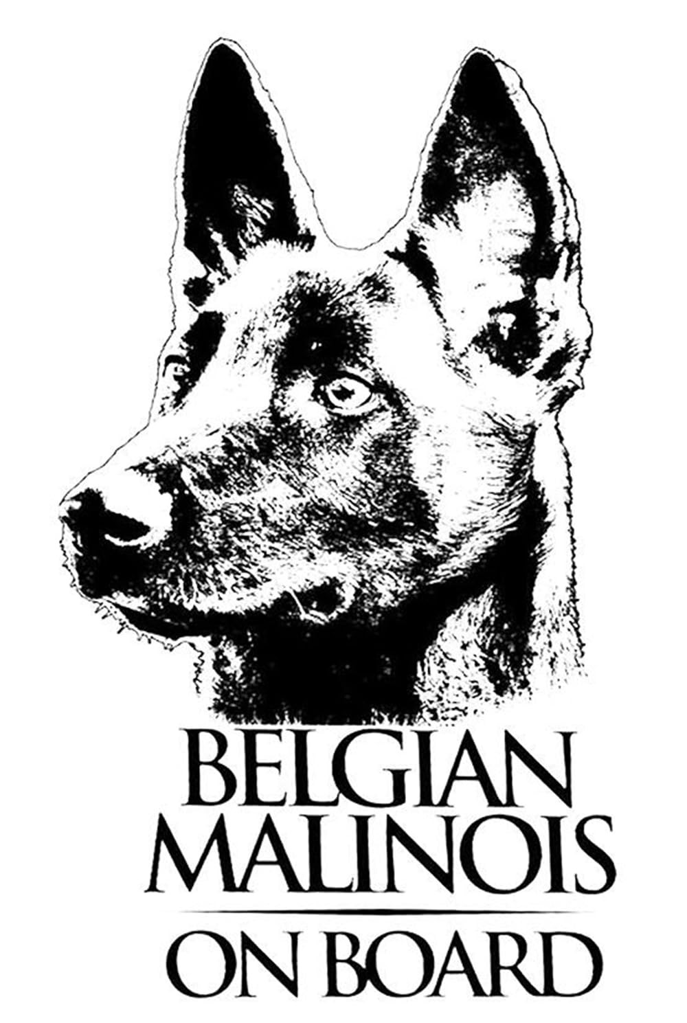 Autocollant de voiture Malinois Belge idéal pour afficher votre complicité sur la route