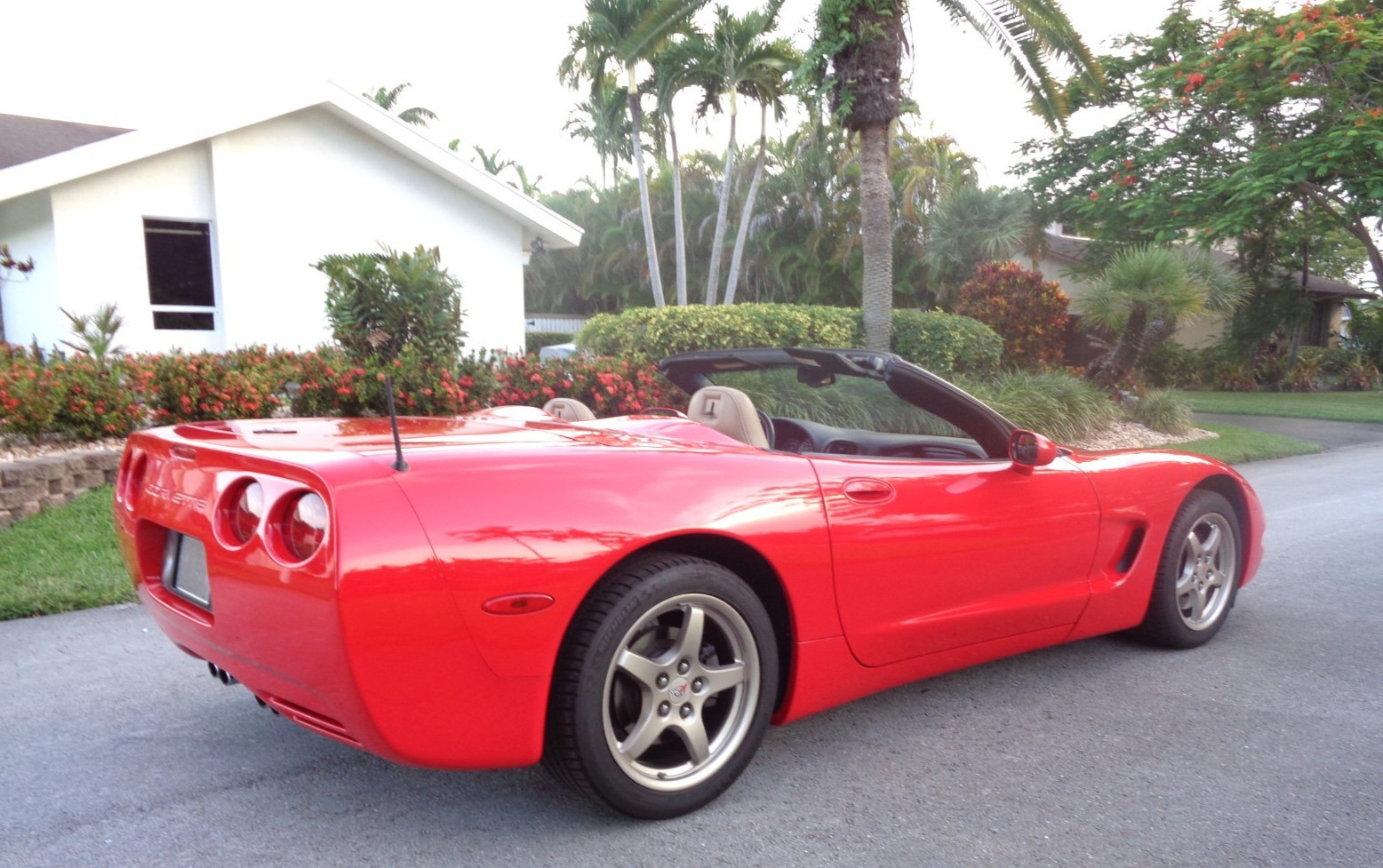 2004 Red Chevrolet Corvette   | C5 Corvette Photo 9