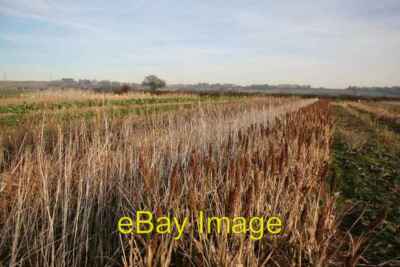 Foto 6x4 Ernteversuche Boothby Graffoe Ernteversuche von Advanta auf Boothby G c2007