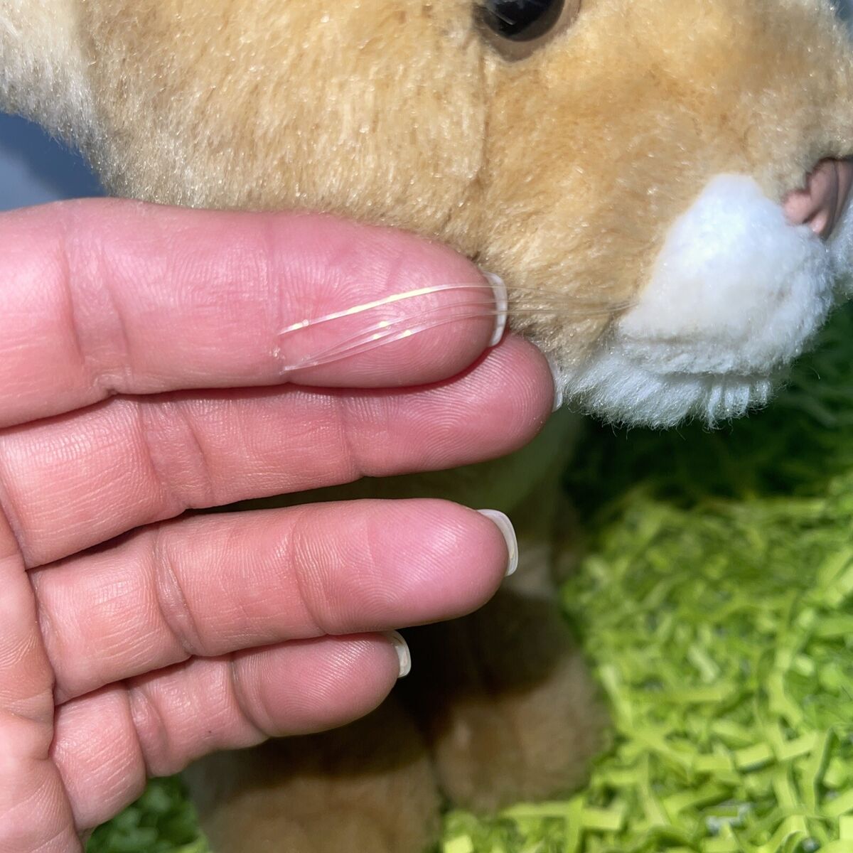 RARE HTF Forever Plushland Lion Cub Plush Sitting 6 RARE HTF Forever Plushland Lion Cub Plush Sitting 6