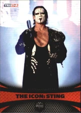 STING WCW Photo Reprint, Fridge Magnet, Decal or Glossy Metal Sign