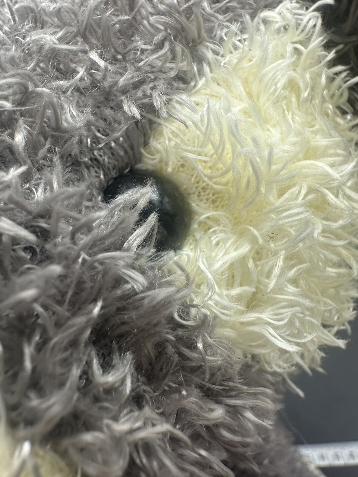 Foto 17 di 17