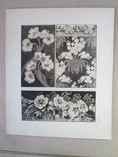 Vintage Print,ART NOUVEAU FLORALS,27,Jean Pilters,Florales,c1900