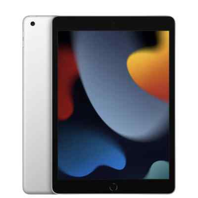 Apple iPad 7th Gen. 128GB, Wi-Fi, 10.2 in - Space Grey for sale