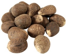 Ecuador Tagua Nuts XL 70mm 7cm 2.75'' Vegan Ivory Natural Craft Fair Trade