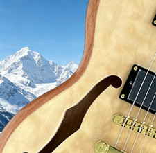 Hot Selling Log Color Electric Guitar Semi-Hollow Body Gold Hardware HH Pickups