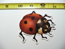 LADYBUG 3 SMALL STICKER DECAL BUG INSECT FUN FUNNY