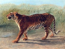 Landscape tiger road grass by R. Bonheur Tile Mural Kitchen Backsplash Ceramic
