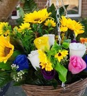 Bild 10 von 12