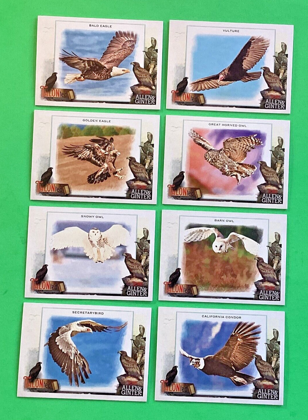 2023 Topps Allen Ginter . TALONted . COMPLETE 20 Cards  EAGLE , BUZZARD , CONDOR