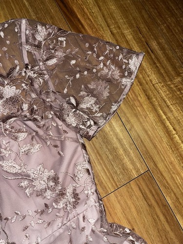 BNWT Forever Stunning Ashton Embroidered Blush Lace Short Sleeved Dress Size 12 - Picture 5 of 7